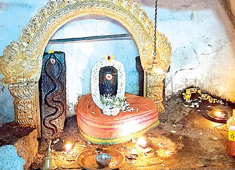பசுவுக்கு தரிசனம் அளித்த குட்டையூர் மாதேஸ்வரர் | ஞாயிறு தரிசனம்