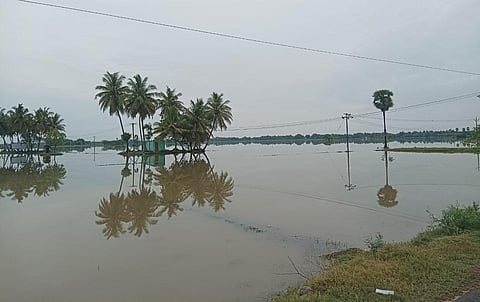 மழையால் மூழ்கிய விளைநிலங்கள்.