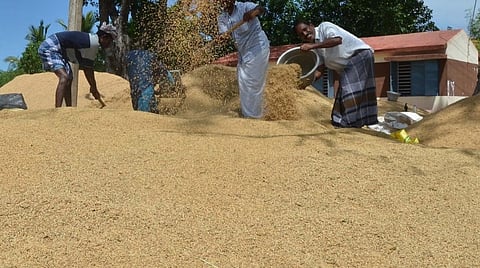 நேரடி கொள்முதல் நெல்லுக்கு 10 நாட்களில் பணம்: விவசாயிகளிடம் நுகர்பொருள் வாணிப கழகம் உறுதி