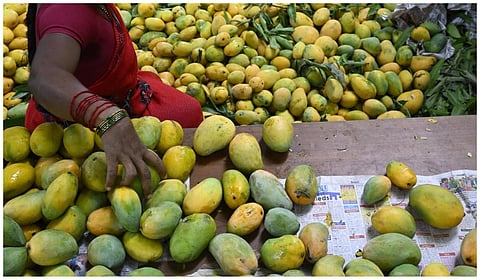 பிரதிநிதித்துவப் படம்