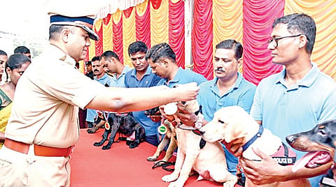 சென்னை காவல் துறையில் உள்ள மோப்ப நாய் படைப்பிரிவில், புதிதாக இணைக்கப்பட்டுள்ள 11 உயர் ரக நாய்க்குட்டிகளை. கூடுதல் காவல் ஆணையர் விஜயேந்திர பிதாரி வழங்கினார்.