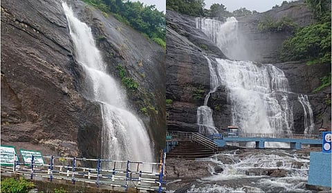 மேற்கு தொடர்ச்சி மலைப் பகுதியில் சாரல் மழை: குற்றாலம் அருவிகளில் குளிக்க தடை