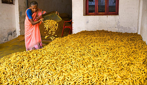 சேலம் லீ பஜாரில் உள்ள மையத்தில் விற்பனைக்காக குவித்து வைக்கப்பட்டுள்ள மஞ்சள்.