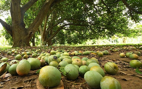 கோப்புப் படம்