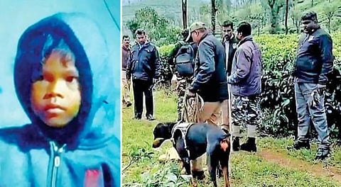 வால்பாறையில் சிறுத்தை தாக்கி உயிரிழந்த சிறுமியின் உடல் மீட்பு - நடந்தது என்ன?