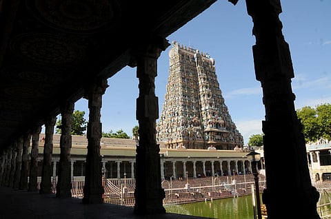 மதுரை மீனாட்சி அம்மன் கோயில் வளாகத்தில் கடிக்கும் பூனையால் பக்தர்கள் அச்சம்!
