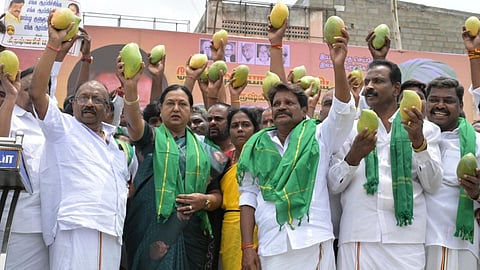 பாஜக, திமுகவை எதிர்க்கும் கட்சிகளுடன் கூட்டணியா? - பிரேமலதா விளக்கம்