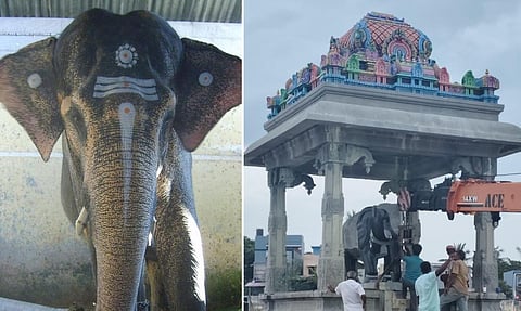 ராமேசுவரம் ராமநாதசுவாமி கோயில் யானைக்கு மணிமண்டபம்!