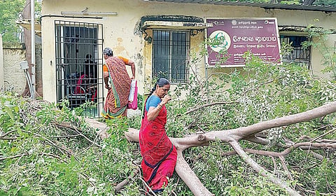 புரசைவாக்கம் தாலுகா அலுவலக வளாகத்தில் செயல்படும் இ-சேவை மையம் முன்பு விழுந்த மரத்தை வருவாய்த்துறை அகற்றாத நிலையில், அம்மையத்தில் பல்வேறு சான்றுகளுக்காக விண்ணப்பிக்க, சாகசம் புரிவது போன்று சிரமத்துடன் செல்லும் மக்கள். | படம்: ச.கார்த்திகேயன் |