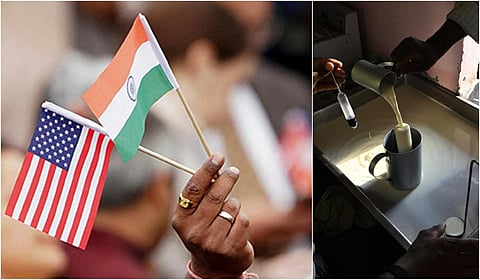 ‘அசைவ பால்’ விவகாரமும், இந்தியா - அமெரிக்கா முரண்பாடுகளும்: ஒரு தெளிவுப் பார்வை