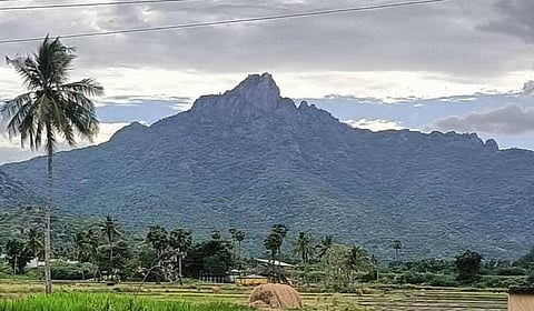 பருவதமலையில் இருந்து கீழே இறங்கியபோது வெள்ளத்தில் சிக்கி உயிரிழந்த 2 பெண்களின் உடல்கள் மீட்பு