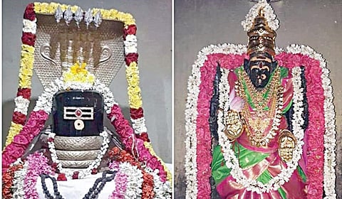 இழந்த பதவியை தந்தருளும் தக்கோலம் மாம்பழநாதர்