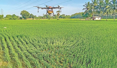 தஞ்சாவூர் அருகே வடக்குப்பட்டு கிராமத்தில்
குறுவை சாகுபடியில் நெற்பயிருக்கு தேவையான மருந்துகளை
தெளிக்கும் ட்ரோன். | படம்: ஆர்.வெங்கடேஷ் |