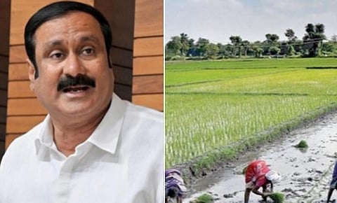 ராமநாதபுரத்தில் 20 ஹைட்ரோ கார்பன் கிணறு அமைக்க அனுமதியளித்து திமுக துரோகம்: அன்புமணி கண்டனம்