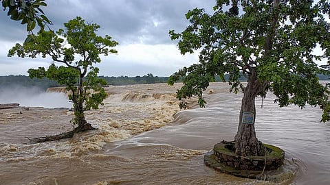 கோப்புப் படம்