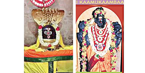 கால்நடைகளுக்கு அருள்பாலிக்கும் கிடாத்தலைமேடு துர்காபுரீஸ்வரர் | ஞாயிறு தரிசனம்