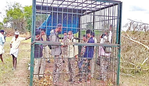 புலியைப் பிடிக்காததால் கிராம மக்கள் ஆத்திரம்: கர்நாடகாவில் 7 வனத் துறையினர் கூண்டில் அடைப்பு