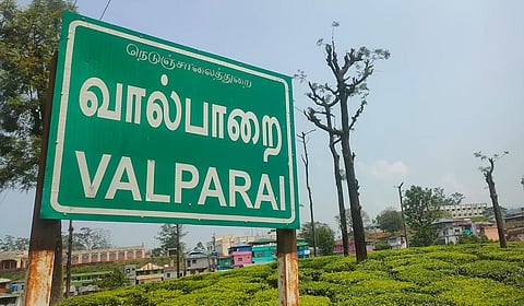 ஊட்டி, கொடைக்கானல் போல வால்பாறைக்கு செல்ல நவ.1 முதல் இ-பாஸ் திட்டத்தை அமல்படுத்த ஐகோர்ட் உத்தரவு