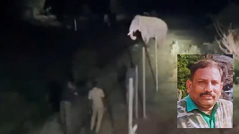 மயக்க ஊசி செலுத்த முயன்றபோது ‘ரோலக்ஸ்’ யானை தாக்கி கால்நடை மருத்துவர் படுகாயம்