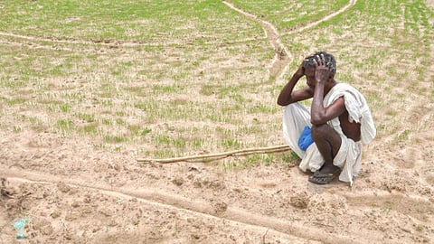 விவசாயிகள் தற்கொலை குறித்து ஆய்வு செய்ய தனி குழு அமைக்க வேண்டும்: விவசாயிகள் சங்கம் வலியுறுத்தல்