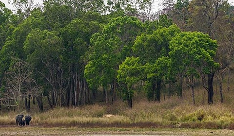 பிரதிநிதித்துவப் படம்