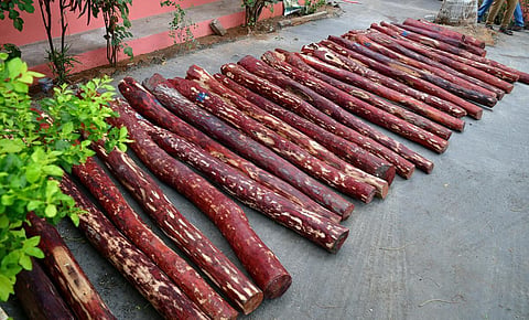 கோப்புப் படம்