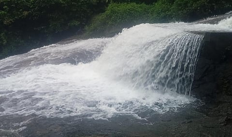 கோவை குற்றாலம் அருவியில் வெள்ளப் பெருக்கு - சுற்றுலா பயணிகளுக்கு தடை