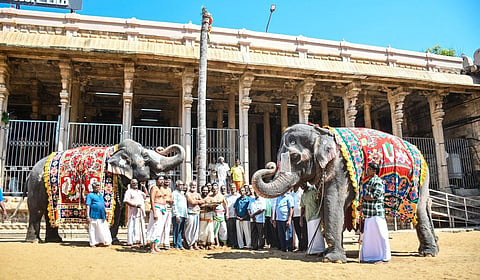 வைகுந்த ஏகாதசி பெருவிழாவையொட்டி ஸ்ரீரங்கம் ரங்கநாதர் கோயிலில் நடப்பட்ட முகூர்த்தகால்