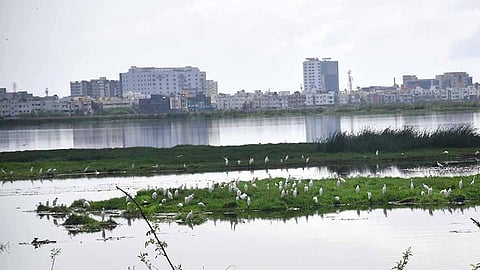 பள்ளிக்கரணையில் சதுப்பு நிலம் என்று கூறப்படும் பகுதியில் கட்டுமானப் பணிகள் மேற்கொள்ள தடை: ஐகோர்ட் உத்தரவு