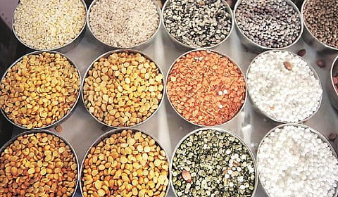மரபணு மாற்றப்பட்ட பருப்புகளை பயிரிட திட்டம்