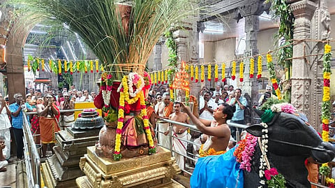 கோவில்பட்டி செண்பகவல்லி அம்மன் கோயிலில் ஐப்பசி திருக்கல்யாண திருவிழா இன்று காலை கொடியேற்றத்துடன் தொடங்கியது.