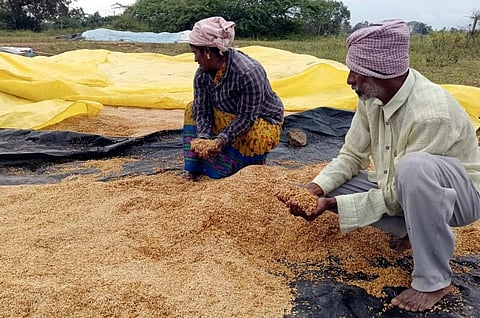 கோப்புப் படம்
