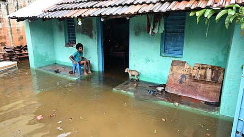 படம்: எல்.பாலச்சந்தர்