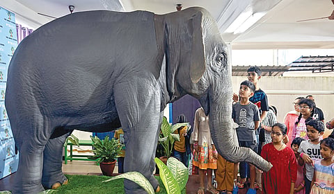 பீட்டா இந்தியா அமைப்பு மற்றும் தி குரோவ் பள்ளி சார்பில், விலங்குகளின் மீதான இரக்கத்தை பள்ளி மாணவர்களிடையே வளர்க்கும் வகையில் தத்ரூபமாக பேசும் யானை ரோபோ பொம்மையை அறிமுகப்படுத்தும் நிகழ்ச்சி சென்னை ஆழ்வார்பேட்டையில் நேற்று நடைபெற்றது. இதை ஆர்வமுடன் பார்த்து ரசித்த மாணவர்கள். | படம்: எஸ்.சத்தியசீலன் |