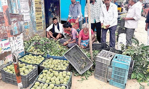 வேப்பனப்பள்ளி பகுதியில் சீத்தாப்பழம் மகசூல் அதிகரிப்பு: விவசாயிகள், வியாபாரிகள் மகிழ்ச்சி