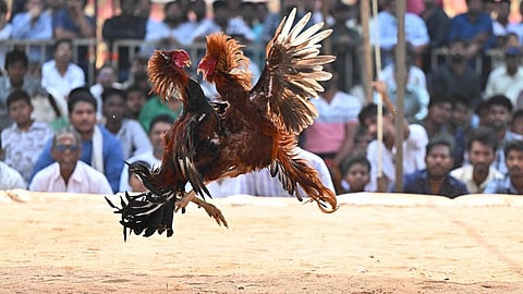 கோப்புப்படம்