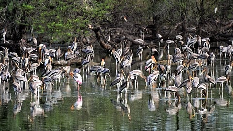 தமிழ்நாடு ஈரநிலங்கள் இயக்கம் சார்பில் உலக ஈரநிலங்கள் தினம் கொண்டாட்டம்