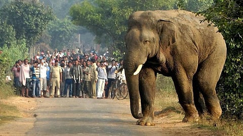 மாதிரி படம்