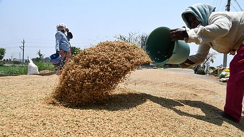 தமிழகம் முழுவதும் நடப்பாண்டில் மட்டும் 34 லட்சம் டன் நெல் கொள்முதல்