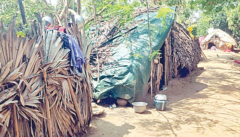 கடம்பாடி ஊராட்சியில் குளக்கரையில் குடிசைகளில் வசித்து வரும் இருளர் குடும்பத்தினர்.