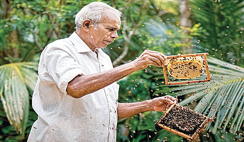 10 ஆயிரம் பேரை உருவாக்கிய முன்னோடி: 61 ஆண்டு கால தேனீ வளர்ப்புப் பயணம்