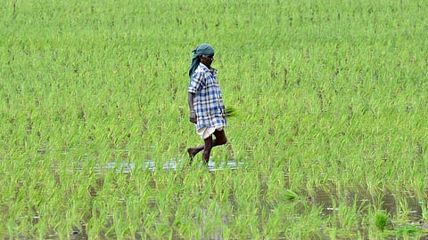வேளாண் துறையினரின் வேண்டுகோள்கள் நிறைவேறுமா?
