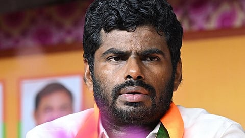 “விளாத்திகுளம் மாணவி கொலை; குற்றவாளியைப் பிடிக்க 10 நாட்கள் ஏன்?” - சந்தேகத்தை கிளப்பும் அண்ணாமலை