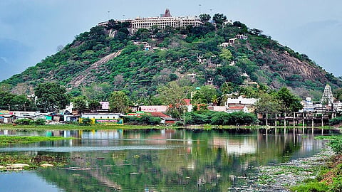 வார விடுமுறை தினத்தையொட்டி பழநி முருகன் கோயிலில் குவிந்த பக்தர்கள்