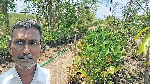விருதுநகர் பேராலி சாலையில் மாவட்ட நிர்வாகம் வழங்கிய இடத்தில் அமைக்கப்பட்டுள்ள நர்சரி. (உள்படம்) புஷ்பராஜ்