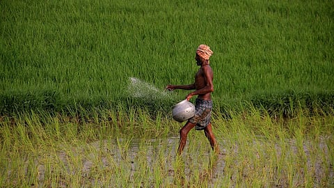 தேசிய நுகர்வோர் கூட்டமைப்பு ரூ.317 கோடி நிலுவை: மத்திய அரசிடம் பேச முதல்வருக்கு விவசாயிகள் கோரிக்கை