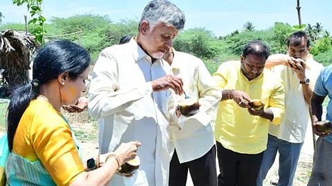 குப்பம் பகுதியில் பனை நுங்கை ருசித்து சாப்பிட்ட சந்திரபாபு