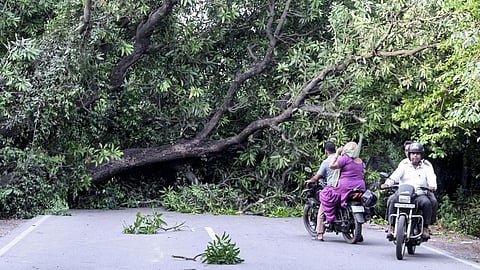 உத்தரப் பிரதேச புயல் மழை: வானிலை கணிப்புகள் மேம்படட்டும்