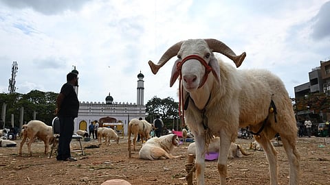 உ.பி., மேற்கு வங்க மாநிலங்களை அடுத்து டெல்லியில் பக்ரீத்துக்குப் பலியிட கட்டுப்பாடு