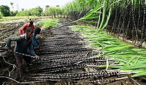 கோப்புப் படம்